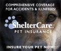 Shelter Care Pet Insurance